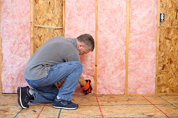 Best Specialized Insulation Services in Pemberwick, CT